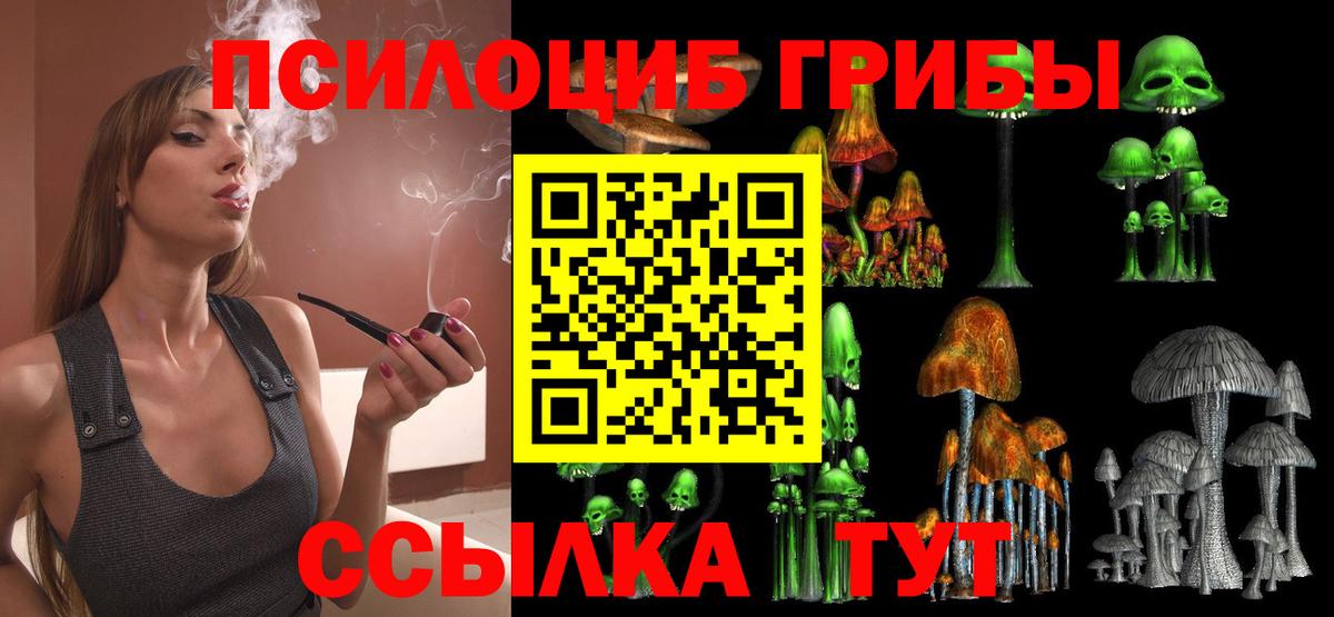 Псилоцибиновые грибы Psilocybine cubensis Осинники