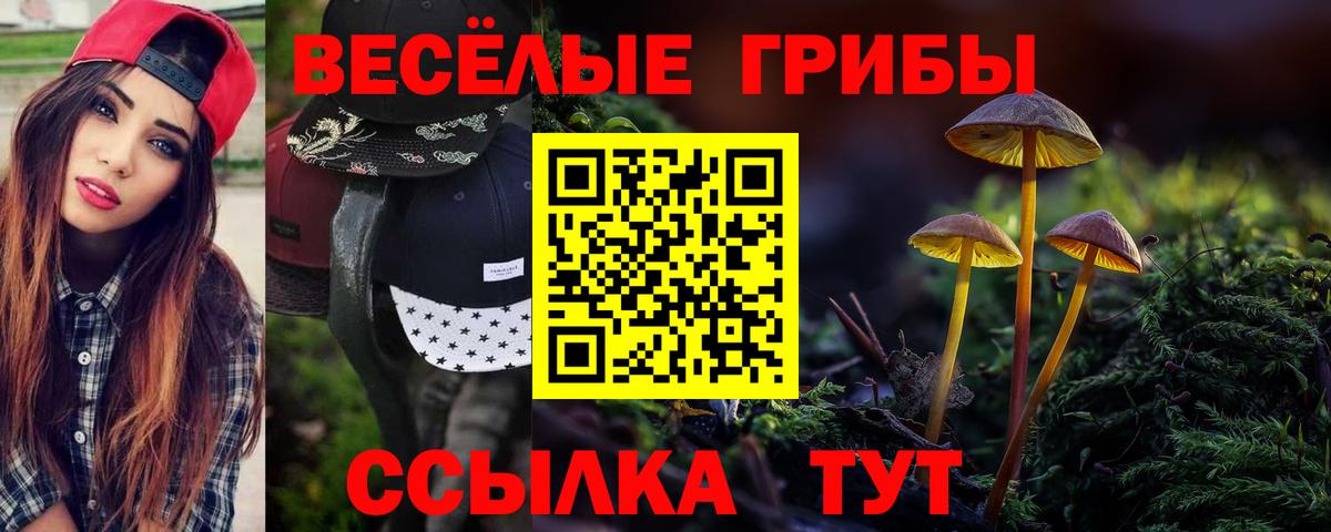 Осинники  Галлюциногенные грибы прущие грибы  Псилоцибиновые грибы мицелий  закладки  Вход с VPN 